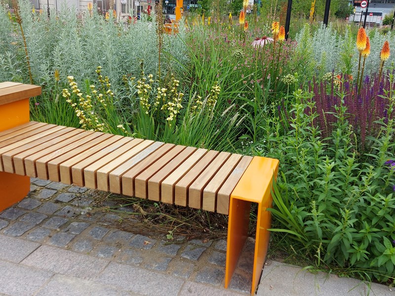 Garden bench surrounded by lush green plants.