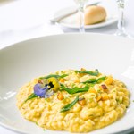 A plate of food and a glass of wine.