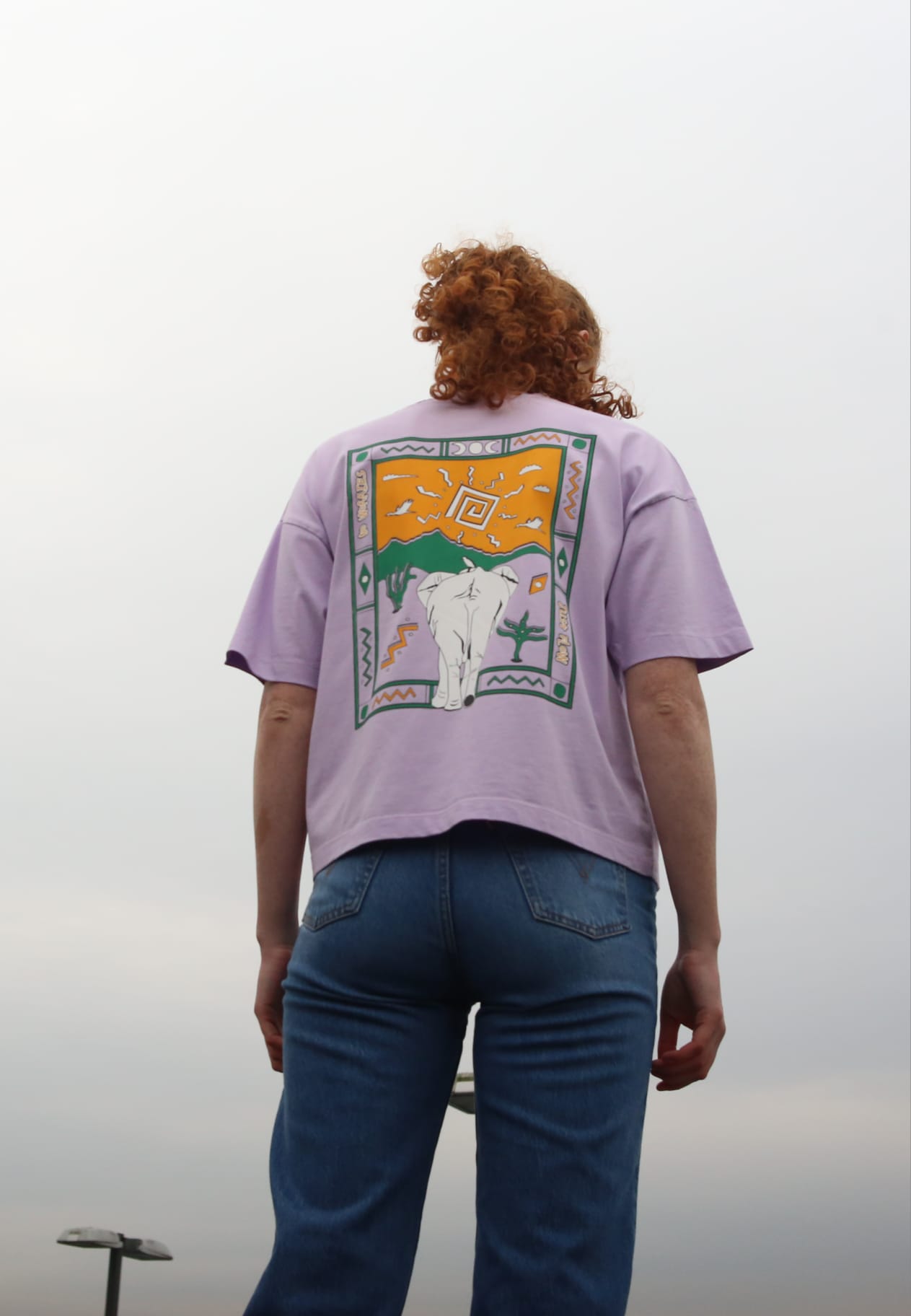 Person wearing a lavender oversized T-shirt with a bold graphic on the back featuring an abstract desert scene with a white goat, green mountains, orange sky, and geometric patterns. Paired with blue jeans, standing outdoors against a cloudy sky.