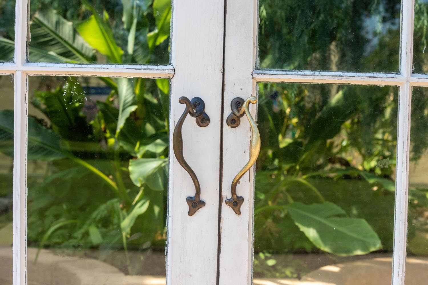 A close-up of one set of doors in the Glass House at Sheffield Botanical Gardens.