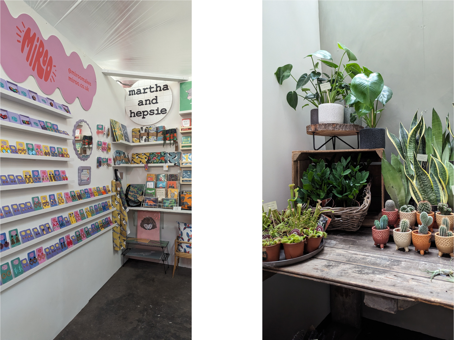 A plant and cacti stall in the Red Brick Market.
