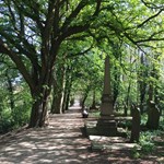 Grave stones at Sheffield General Cemetery.