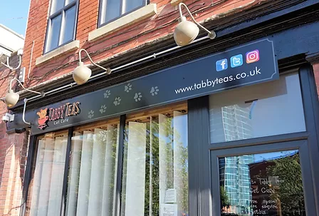 The exterior of Tabby Teas Cat Cafe.