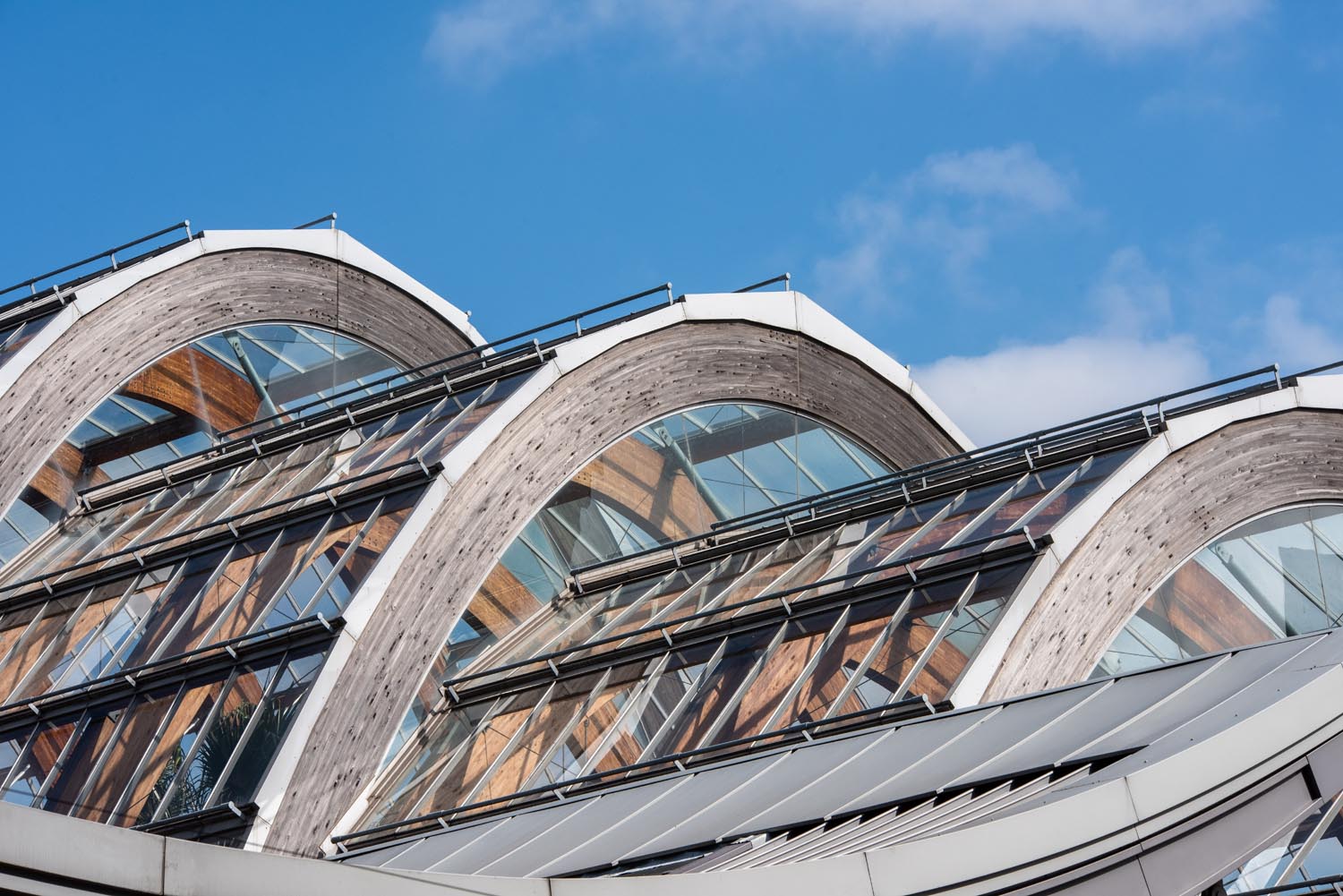 The exterior of the Sheffield Winter Garden.