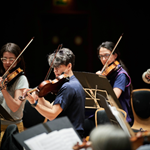 The strings section of the Brigantes Orchestra.