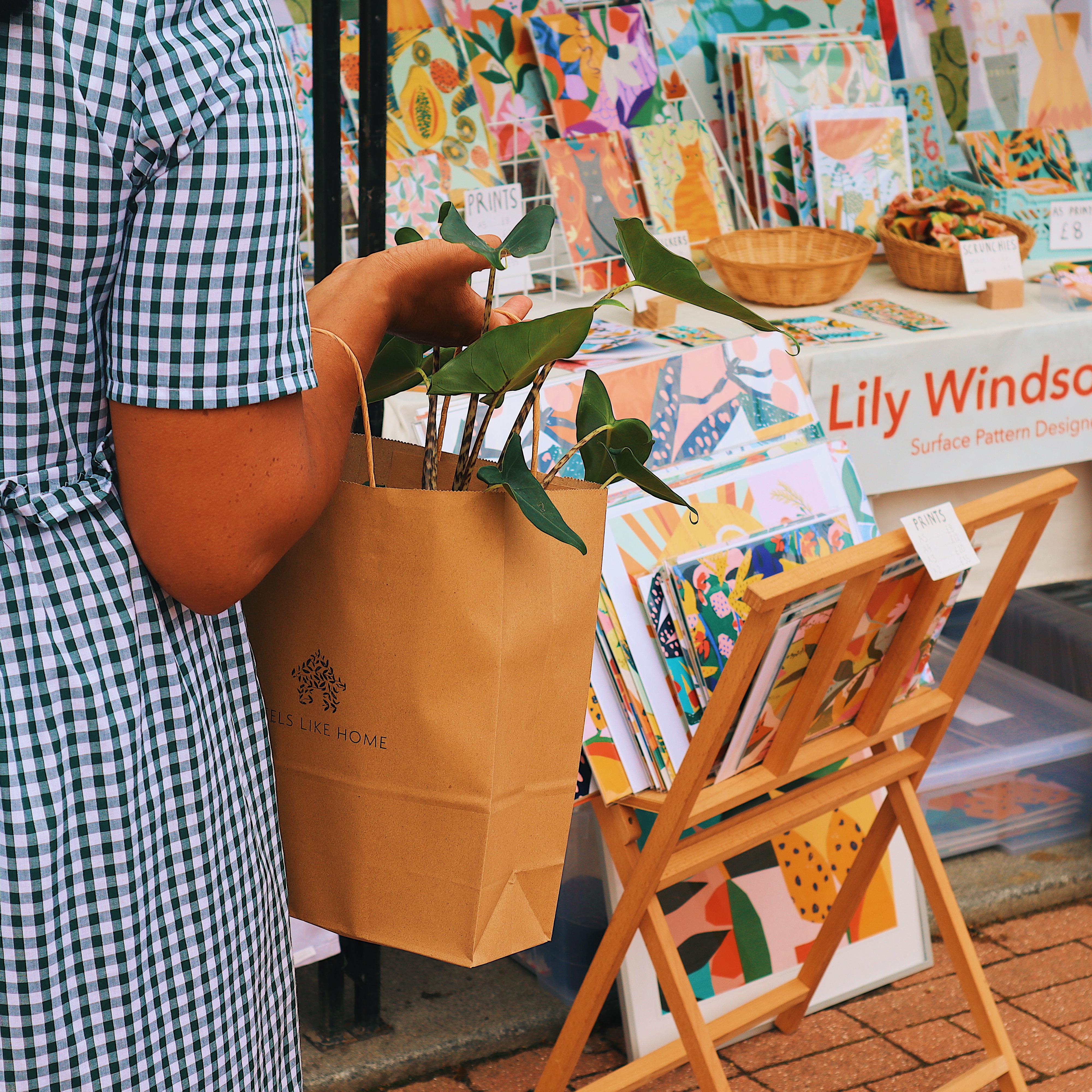 Person wearing a green-and-white checkered dress holding a brown paper bag with a leafy plant inside, standing in front of a market stall displaying colorful patterned prints and artwork. A wooden stand holds more prints, and a sign on the table reads ‘Lily Windsor Surface Pattern Design.’