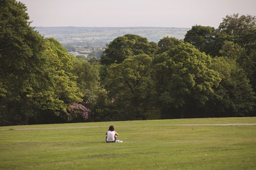 A person sits alone on a large grassy field, facing a backdrop of dense green trees and distant rolling hills under a pale sky. The scene conveys an open, peaceful park setting with natural greenery and expansive space.