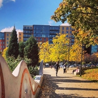 Autumn on Devonshire Green, with the leaves turning to hues of red, yellow and brown.