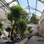 The Camellia Room at Wentworth Woodhouse.