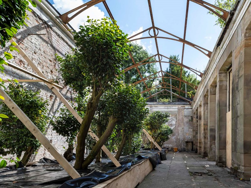 The Camellia Room at Wentworth Woodhouse.
