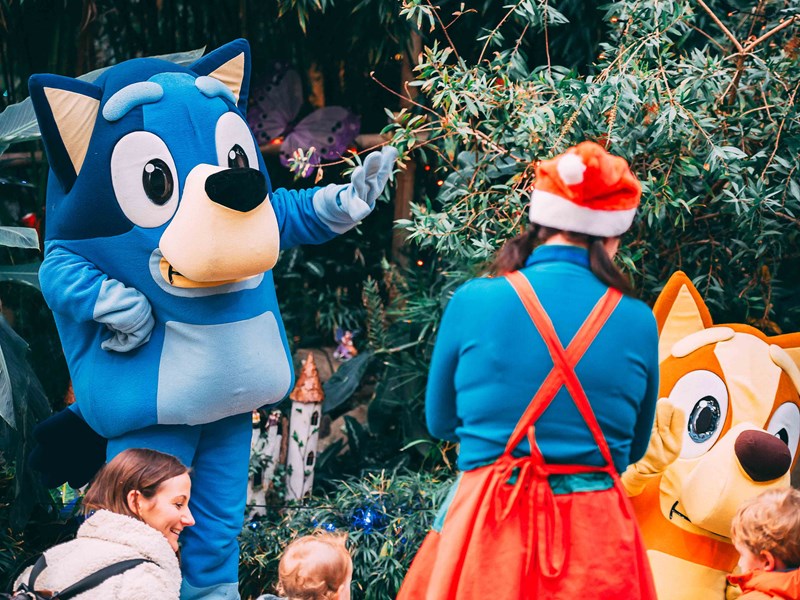 Children and adults looking at characters from Bluey.