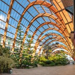 The interior of the Sheffield Winter Garden with lots of plants and trees thriving under the glass roof.