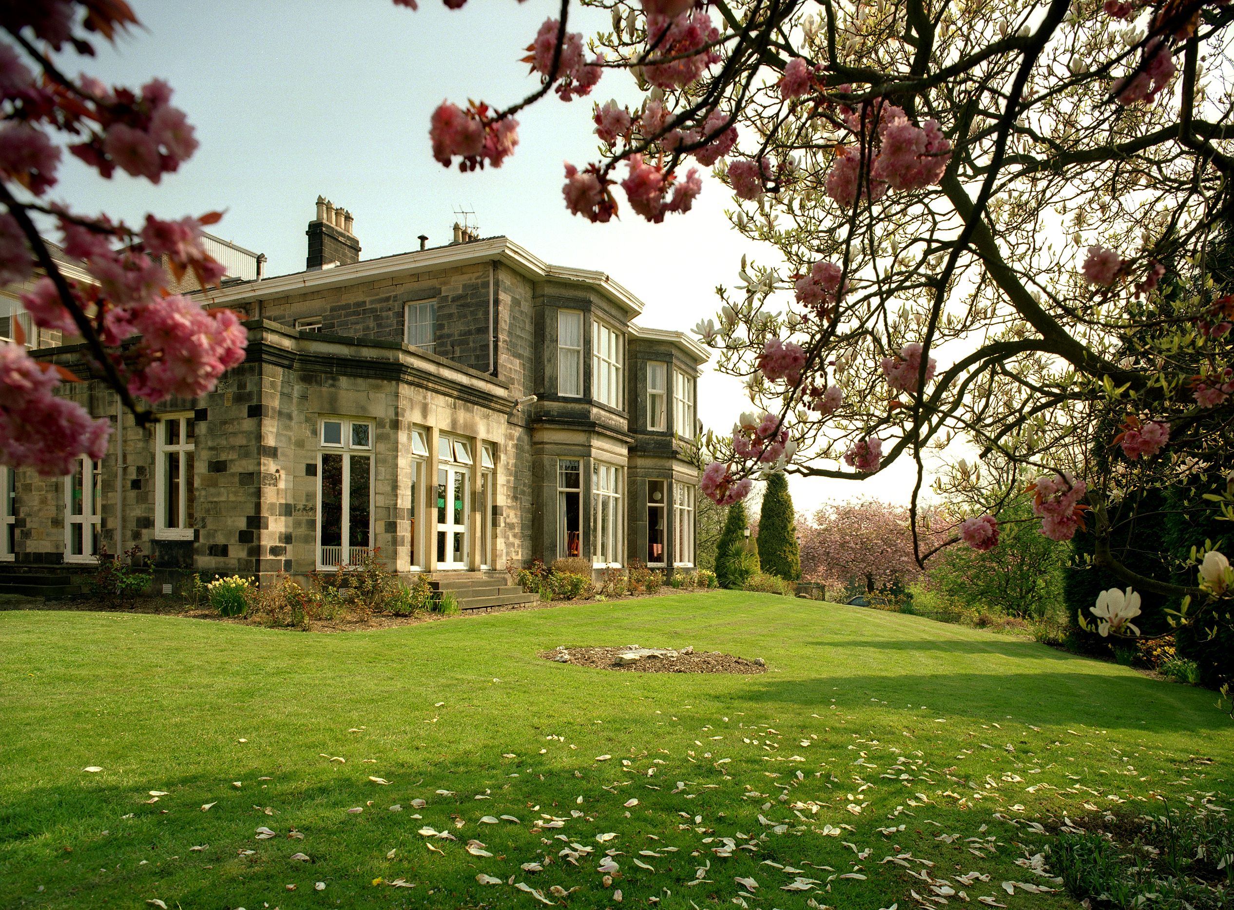 Historic stone building with large windows and a well-maintained green lawn, framed by blooming pink cherry blossoms in the foreground. The scene is bright and sunny, with scattered petals on the grass and landscaped shrubs near the building.