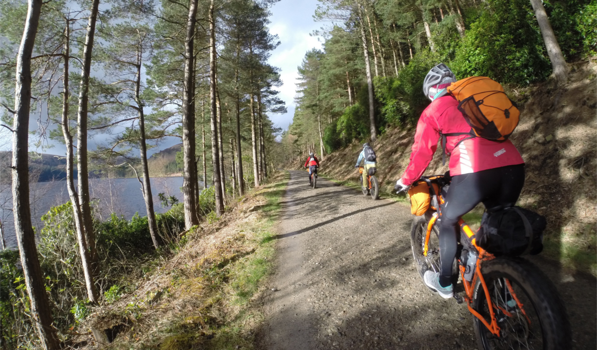 People cycling along a track in a wooded area.