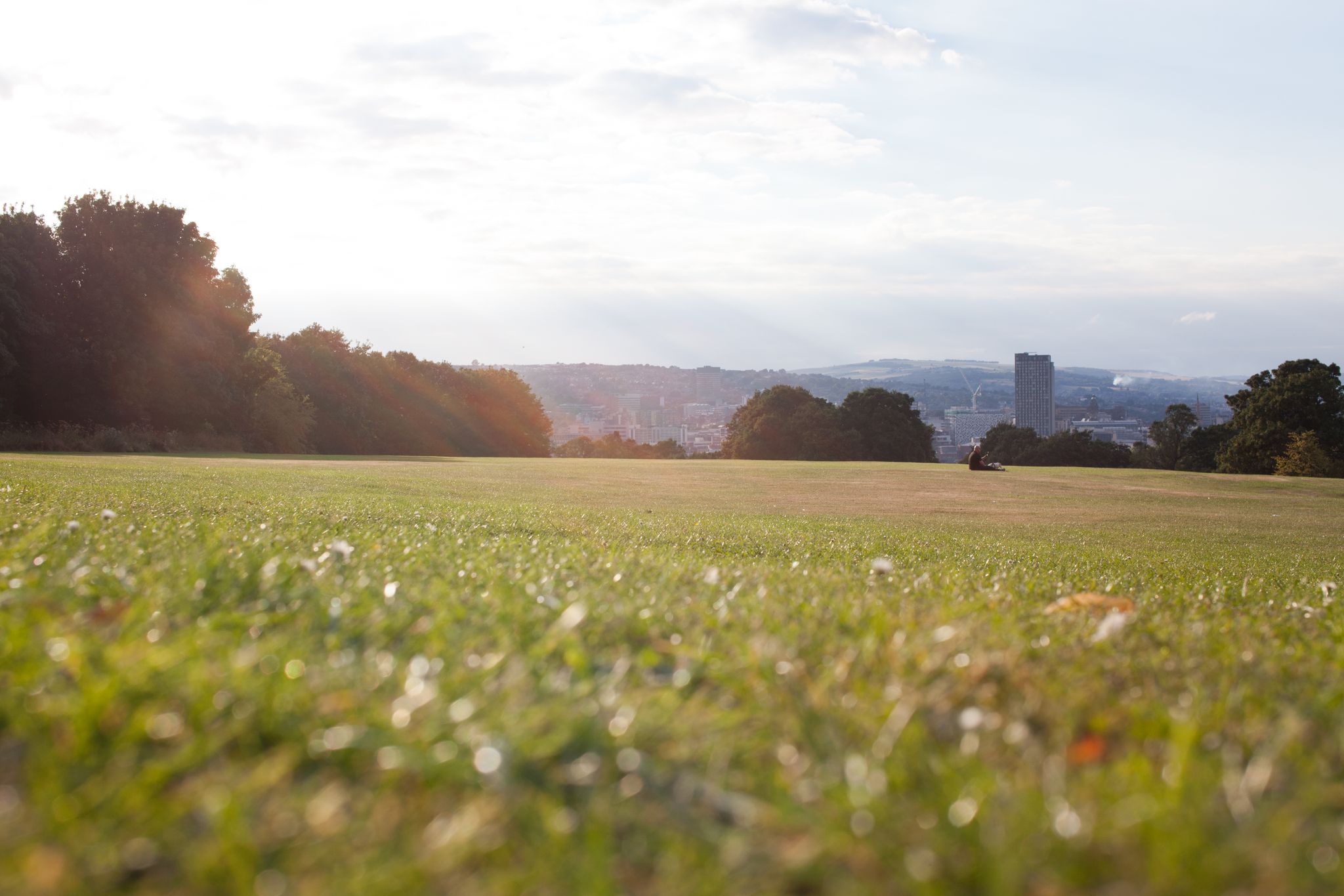 A view across a grassy field in Norfolk Heritage park, which is edged with lots of trees. In the distance you can see Sheffield city centre.
