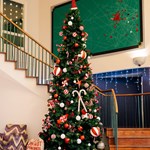 A dressed Christmas tree in the lobby of Mercure Sheffield Kenwood Hall Hotel & Spa.