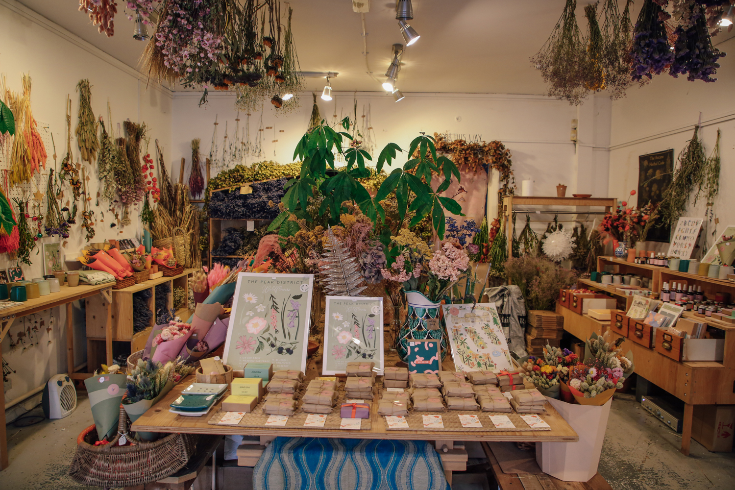 Interior of a boutique shop filled with dried flowers, plants, and botanical arrangements. A central wooden table displays illustrated floral prints, seed packets, and small items, while shelves and walls around the room are decorated with hanging bunches of dried flowers and greenery. The space has warm lighting and a natural, rustic aesthetic.